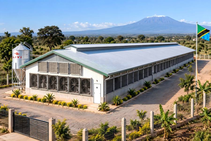20,000-layer poultry house for a commercial egg farm in Tanzania