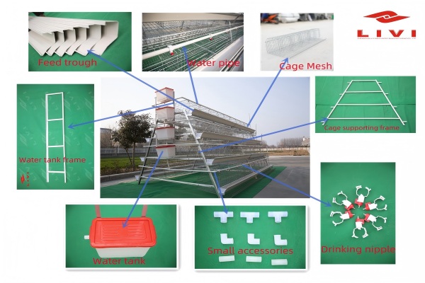 livi a type layer cage components